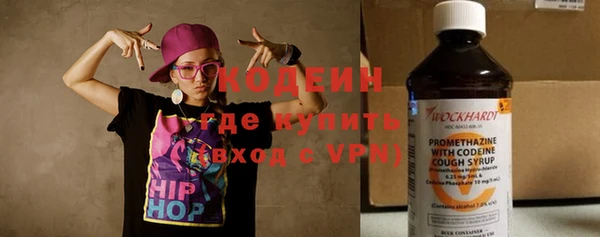 хмурый Алексин