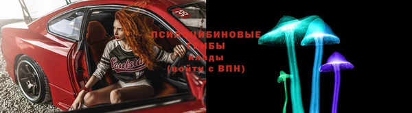 хмурый Алексин