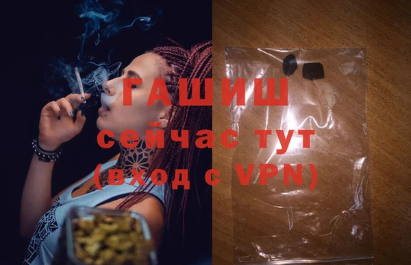 молекула духа Каменка