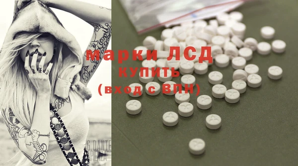 хмурый Алексин