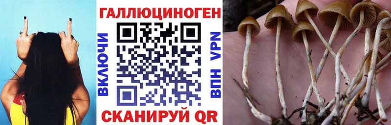 Псилоцибиновые грибы мухоморы  Рязань 