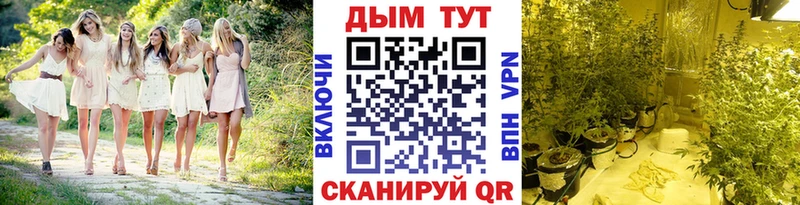 Бошки марихуана Bruce Banner Рязань
